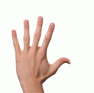 Spirituelle bedeutung ringfinger linker Zeigefinger