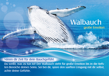 Karte Walbauch Klang der Wale