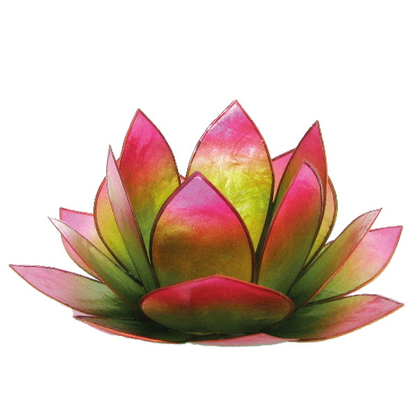 Lotus-Licht »Blumenwiese« grün-pink