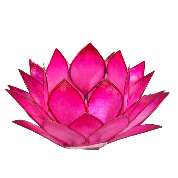 Lotus-Licht - Pink