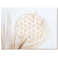 Leinwandbild »Feder mit Blume des Lebens«, 65 × 45 cm