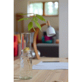 Anzuchtglas-Set »Blume des Lebens« mit langem Aufsatz