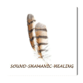 Sound-Shamanic-Healing (Anuvan), Audio-CD