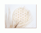 Leinwandbild »Feder mit Blume des Lebens«, 65 × 45 cm
