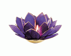 Lotus-Licht »Transformation«, violett