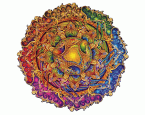 Magic Holzpuzzle 350 »Mandala des unerschöpflichen Reichtums«