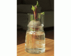Anzuchtglas-Set »Blume des Lebens« mit kurzem Aufsatz