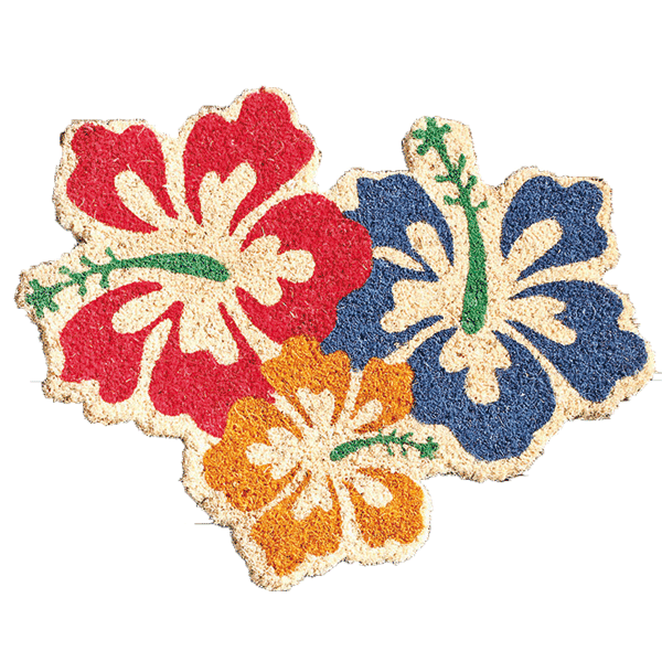 Fußmatte »Aloha« orange, rot, blau