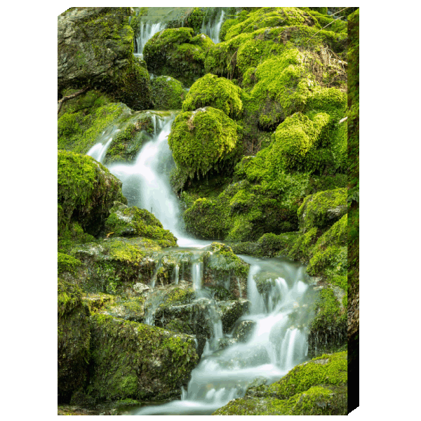 Leinwandbild Wasserfall »Bachlauf«  B 45 x H 65 cm