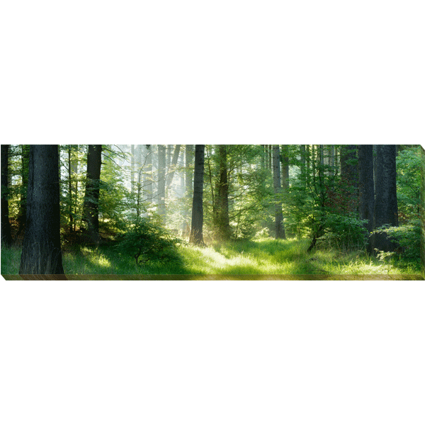 Leinwandbild »Waldbaden« 97x30cm