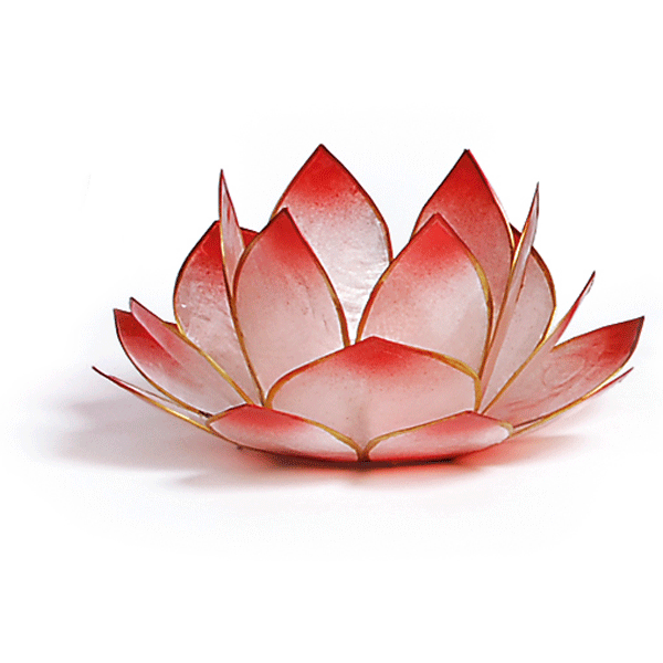 Lotus-Licht »Herzbotschaft« rosé