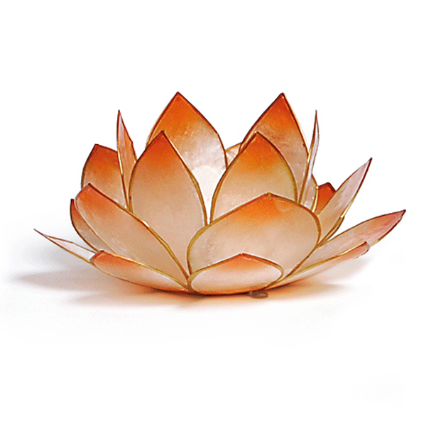 Zauberhaftes Lotus-Licht - mandarin
