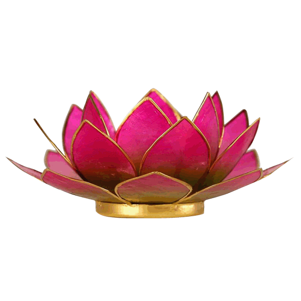 Zauberhaftes Lotus-Licht rosarot