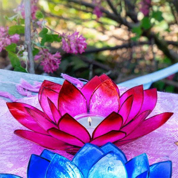 Lotuslicht coralpink »Sommersonne«