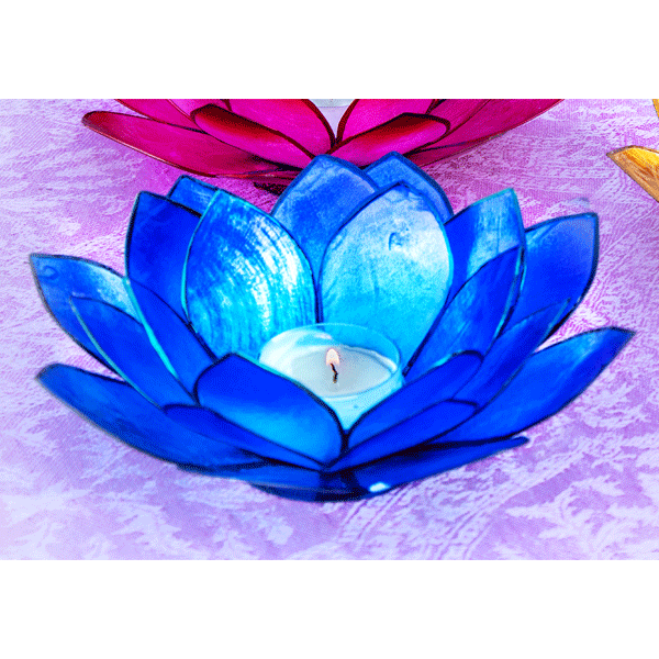 Lotuslicht atlantikblau »Sommersonne«