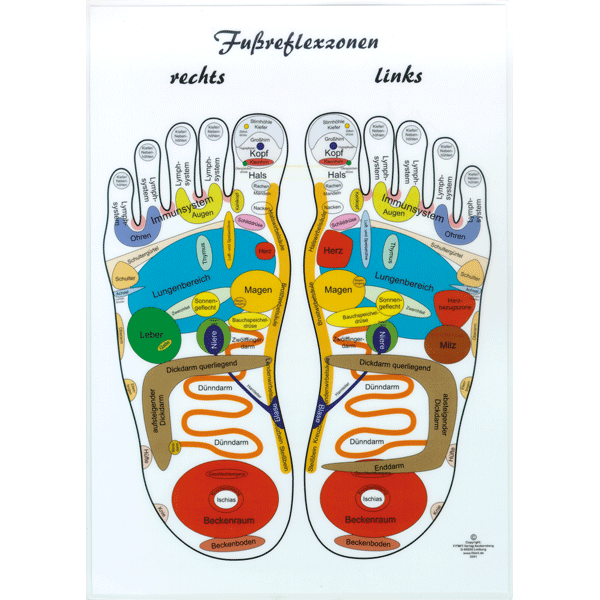 Fußreflexzonen-Tafel, A4