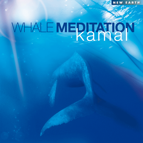 CD: Whale Meditation