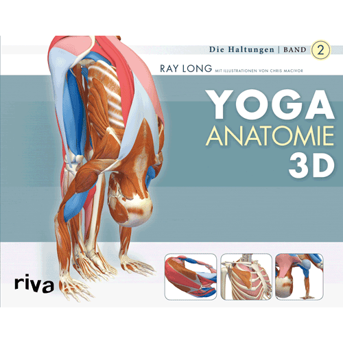 Yoga-Anatomie 3D  Bd. 2