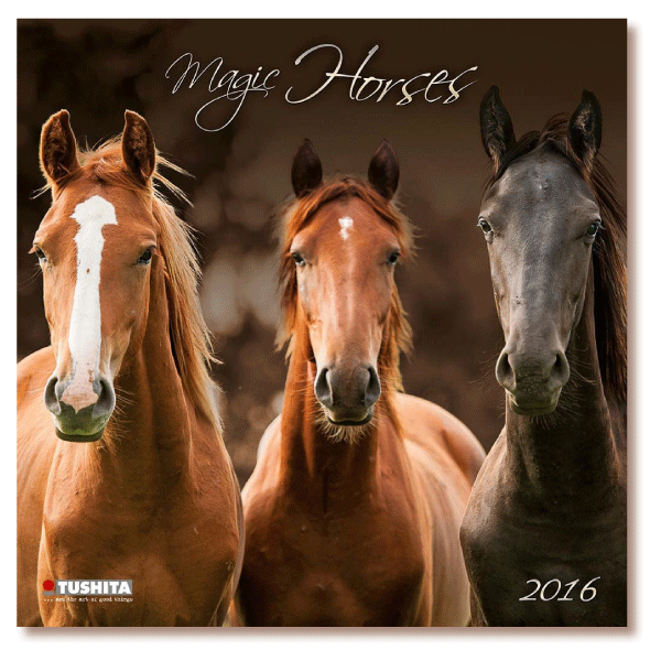 Magic Horses 2016