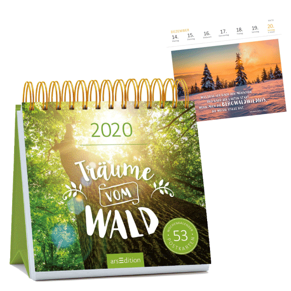 Träume vom Wald Postkartenkalender 2020